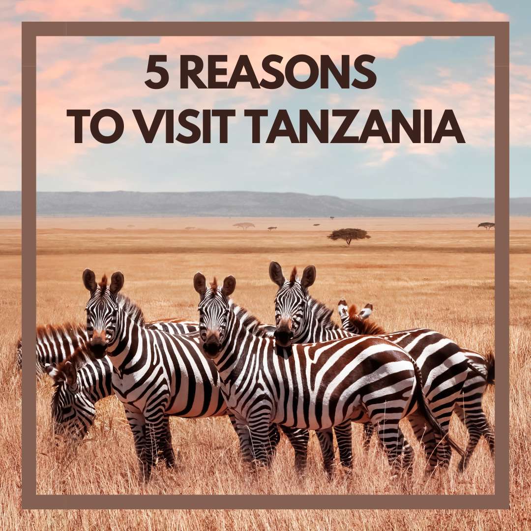 5 Reasons You Should Visit Tanzania in 2023