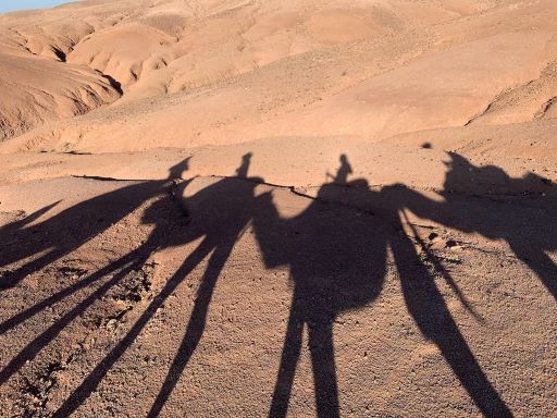 Steppin' Out Adventures