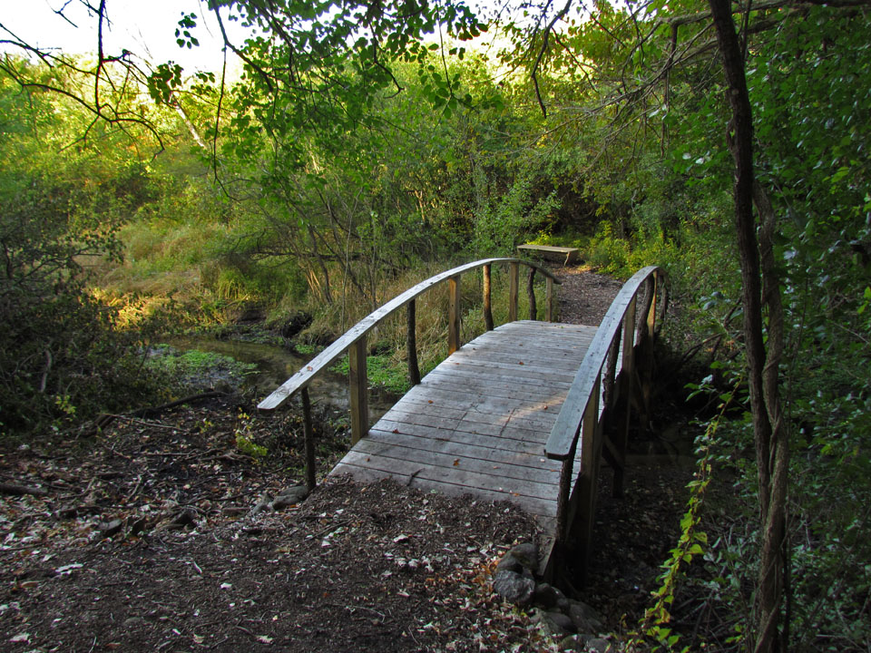 Assembly-Creek-Springs-10-3-11-bridge-and-spring.jpg